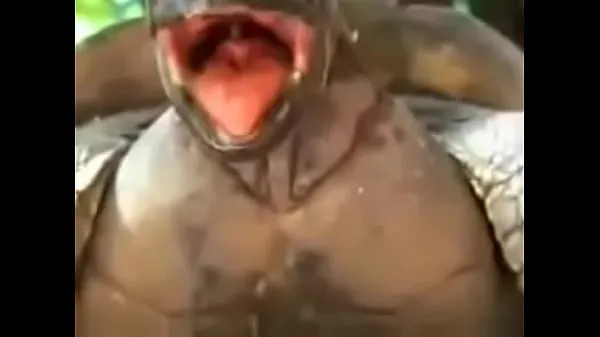 新的 Turtle fucking up to stalk 超级管