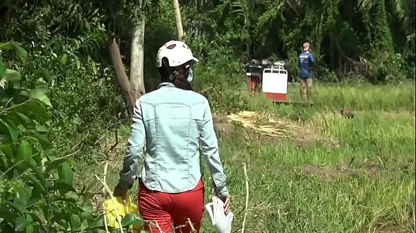 Νέο Secretly filming the couple hoping that the neighbor sister will go to the field to cut rice mega Tube