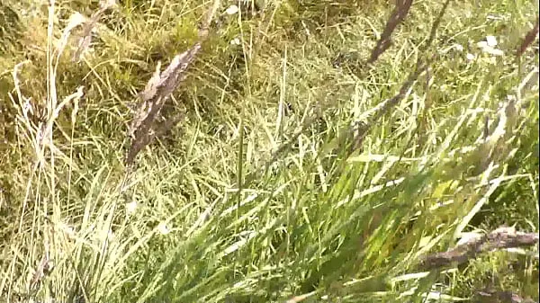 Novo Um jovem transeunte casual viu Milf nua tomando banho de sol na margem do rio. Espiando. Câmera espiã. Nua em público. Praia de nudismo. praia selvagem mega tubo