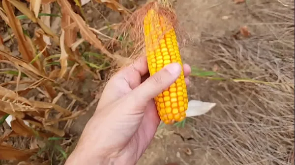 新しいOutdoors fucking with a corn cobメガチューブ